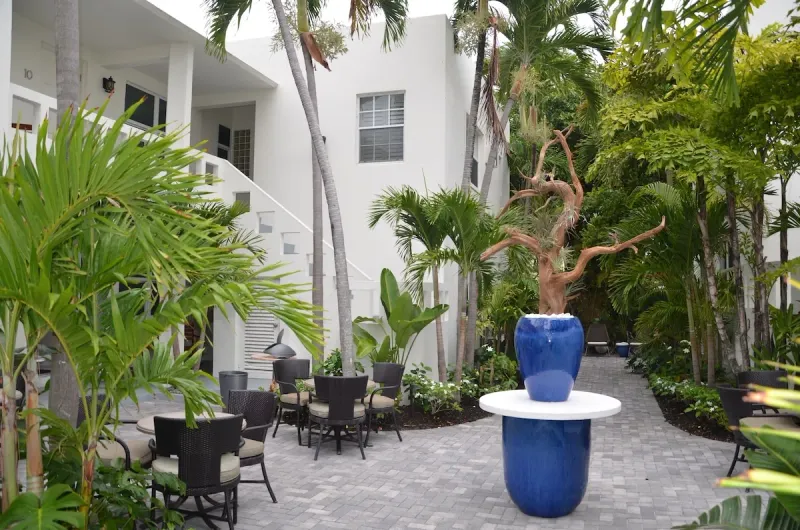 Wicker tables and chairs in the shade of the courtyard palms